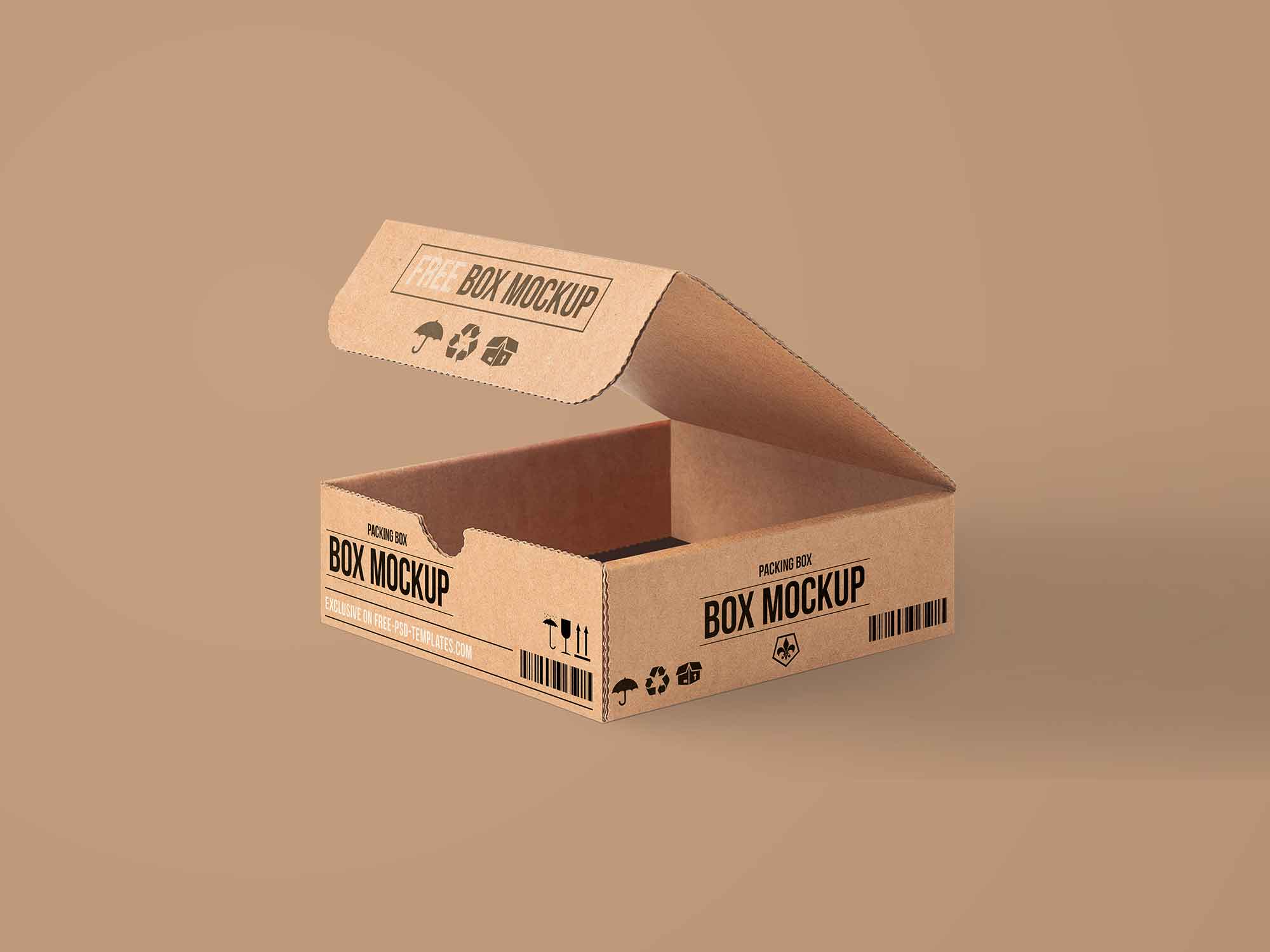 Shipping Cartons